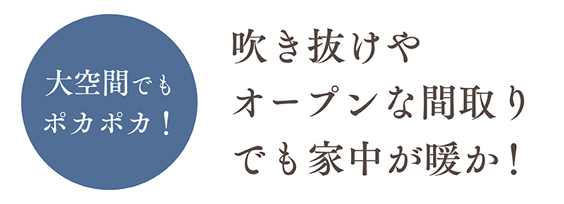 dannetsu31.png
